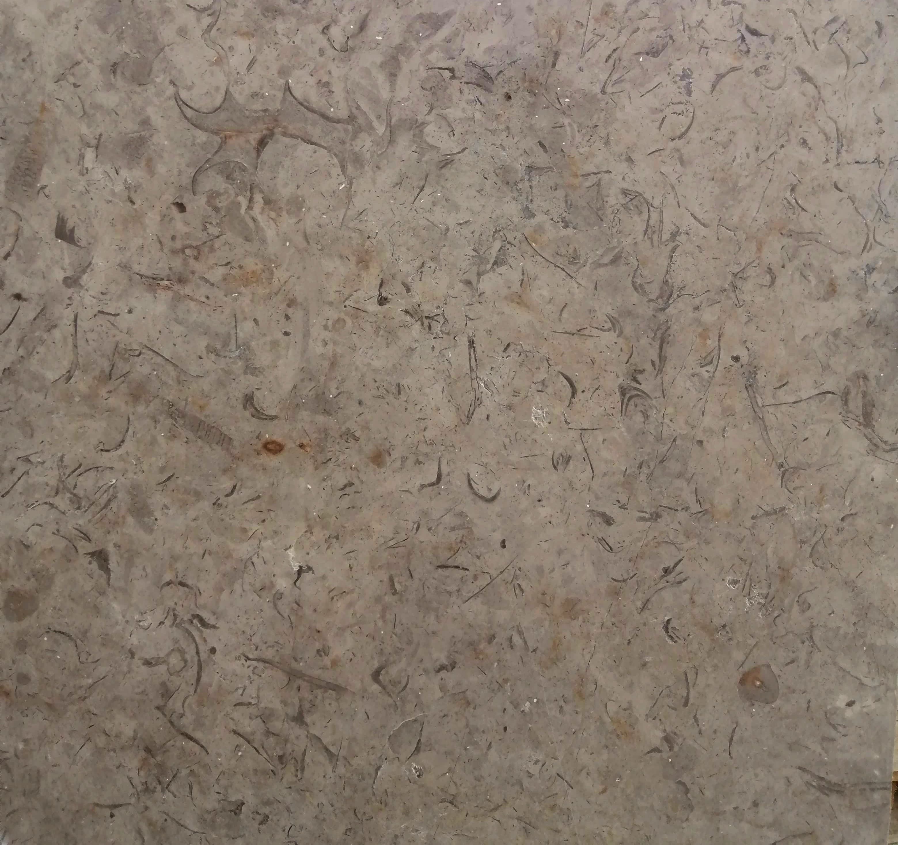 Katreen texture