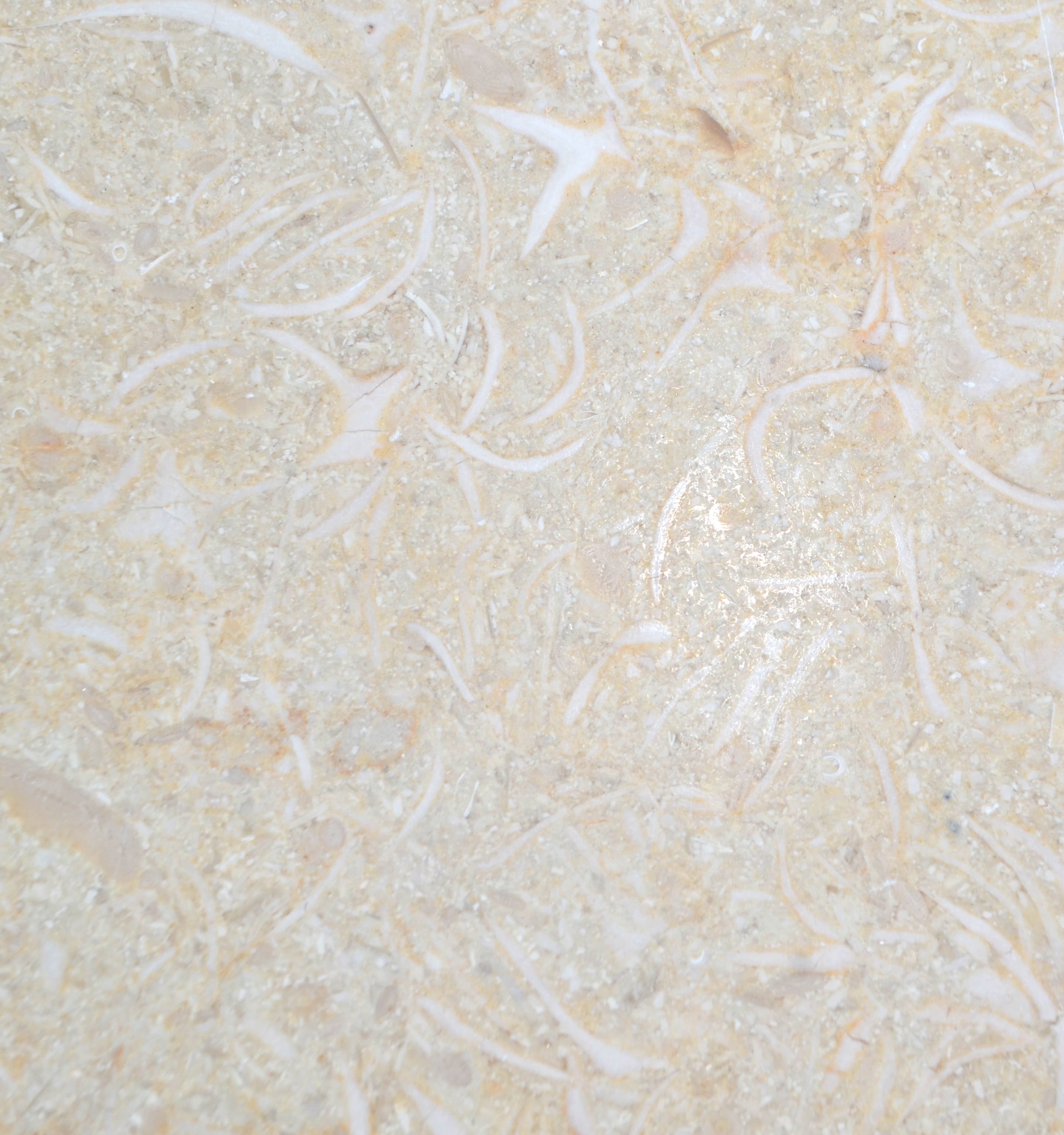 Menia Beige